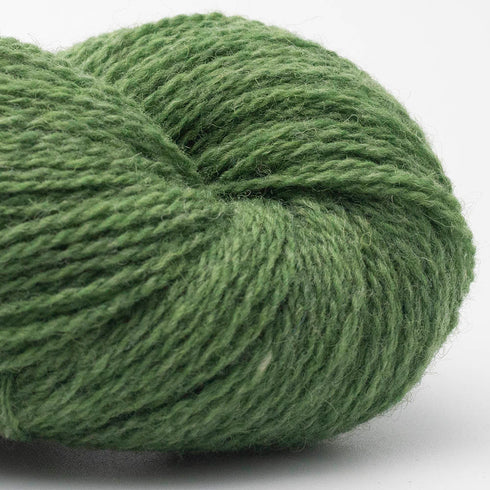 BC Garn: Bio Shetland GOTS 50g